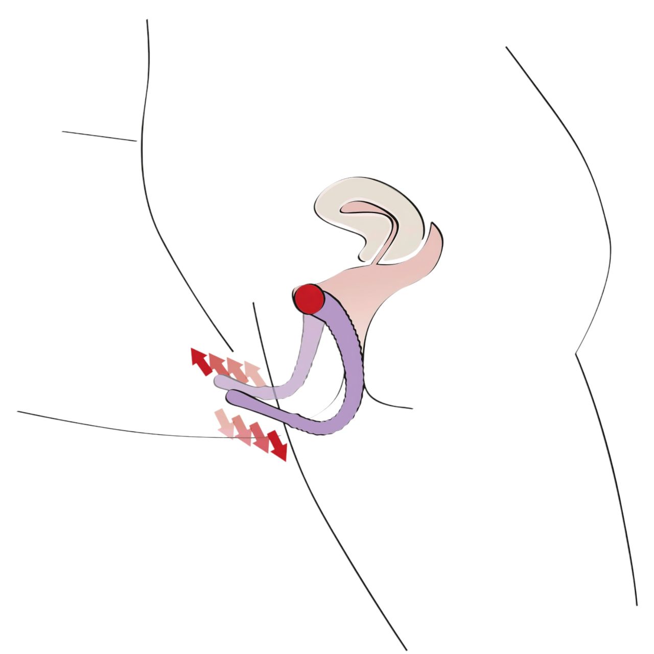 You2Toys - Intimate Spreader hüvely széthúzó You2Toys - Intimate Spreader hüvely széthúzó