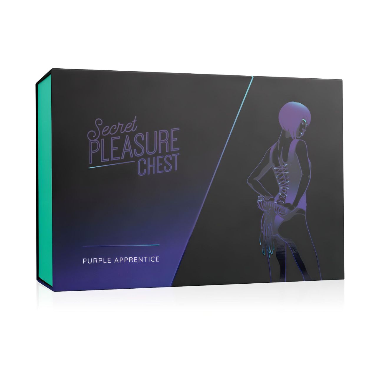 Secret Pleasure Chest - haladó BDSM készlet (14 részes) Secret Pleasure Chest - haladó BDSM készlet (14 részes)