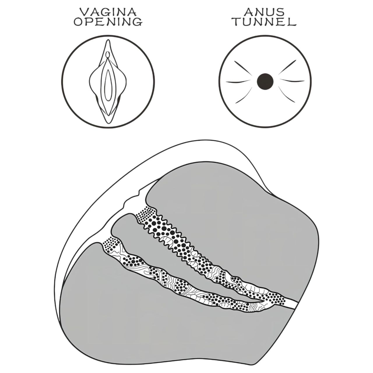 Lovetoy Streetgirl's 4 - műpunci és popsi torzó (natúr) Lovetoy Streetgirl's 4 - műpunci és popsi torzó (natúr)