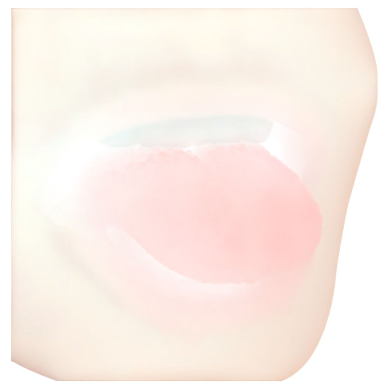 FWB - Lily Brooks 2in1 műszáj és műpunci (natúr) FWB - Lily Brooks 2in1 műszáj és műpunci (natúr)