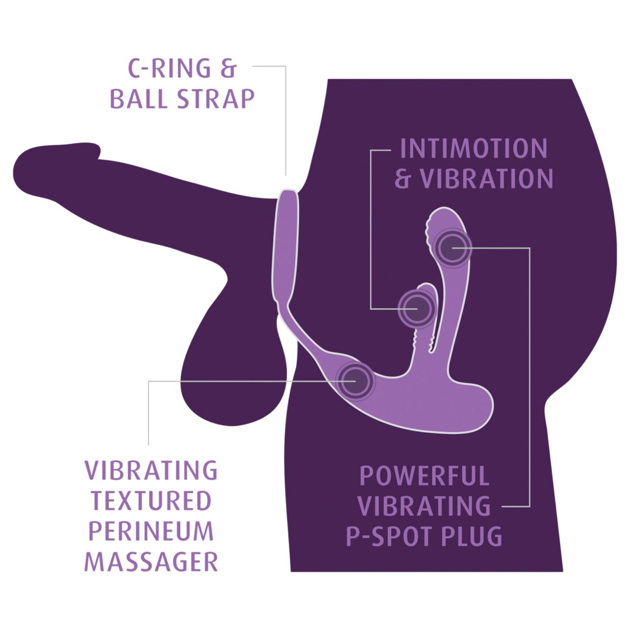 Anal Fantasy Ass-Gasm IntiMotion - anál- és prosztatavibrátor (fekete) Anal Fantasy Ass-Gasm IntiMotion - anál- és prosztatavibrátor (fekete)